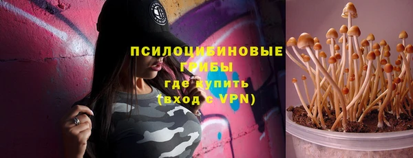 ПСИЛОЦИБИНОВЫЕ ГРИБЫ Абдулино