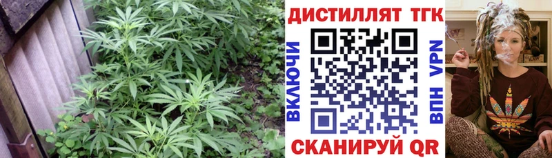 Дистиллят ТГК гашишное масло хочу наркоту Черноголовка