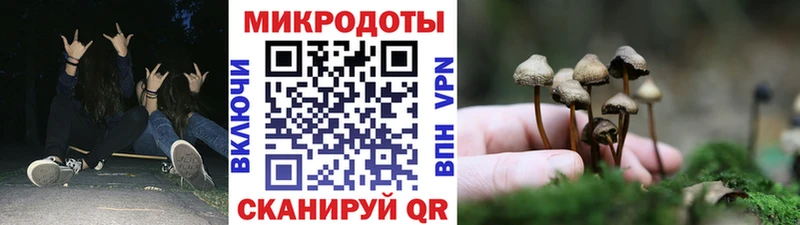 Галлюциногенные грибы прущие грибы  Черноголовка 